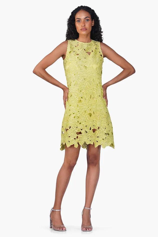 Dresses America and Beyond Women Fall For Neon Floral Lace Short Dress
