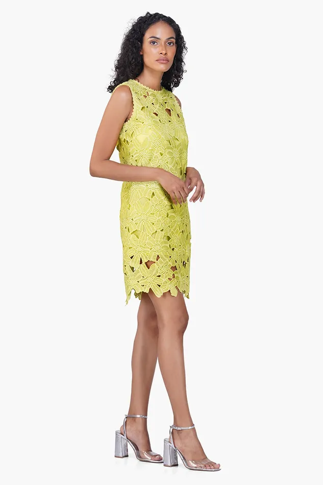 Dresses America and Beyond Women Fall For Neon Floral Lace Short Dress