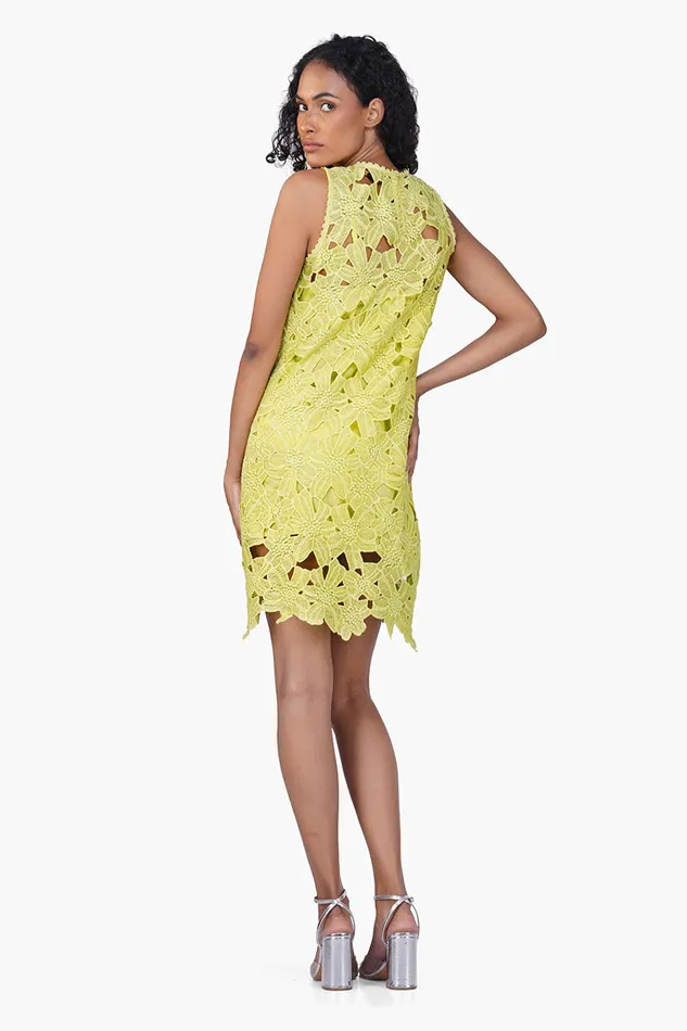 Dresses America and Beyond Women Fall For Neon Floral Lace Short Dress