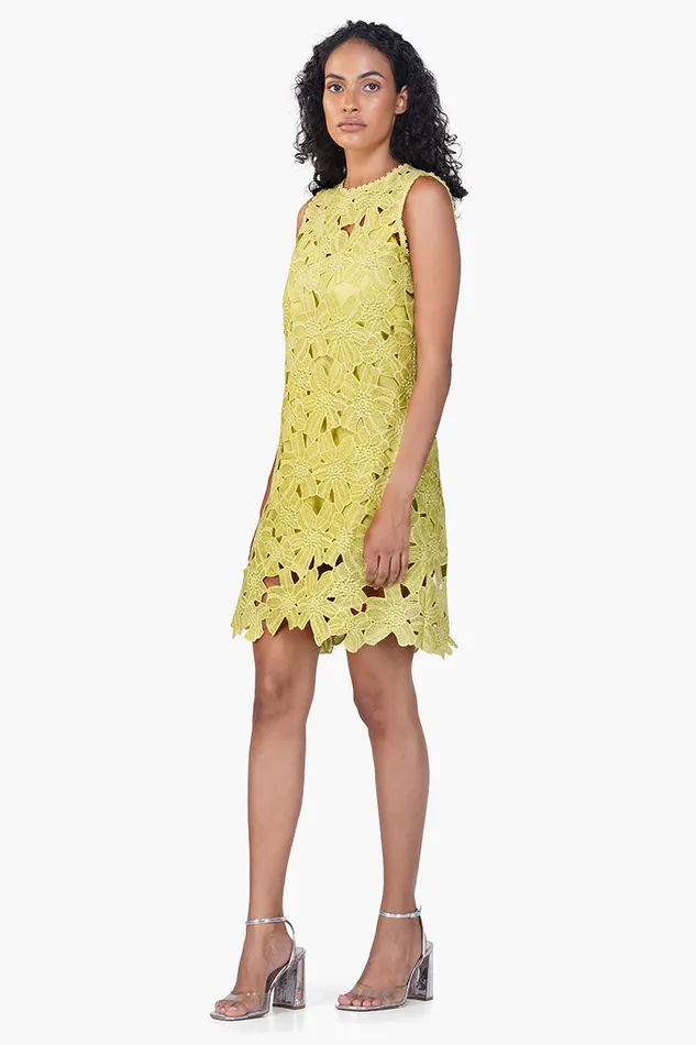 Dresses America and Beyond Women Fall For Neon Floral Lace Short Dress