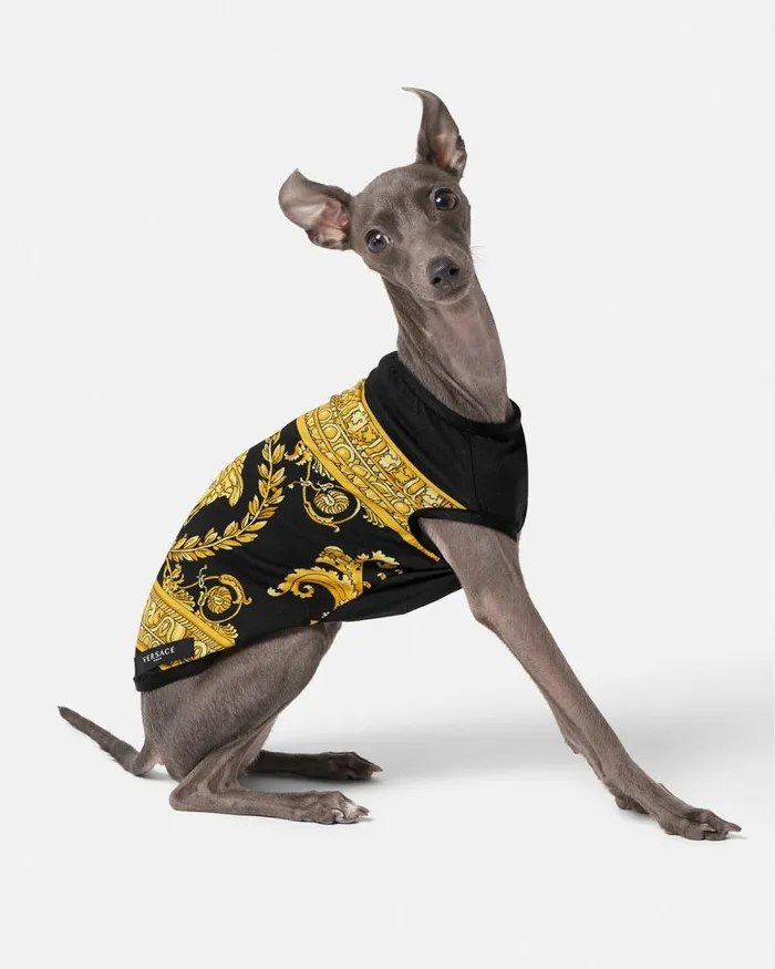 I Baroque Small Pet TShirt Blackprint Home and Lifestyle Versace Pet Accessories