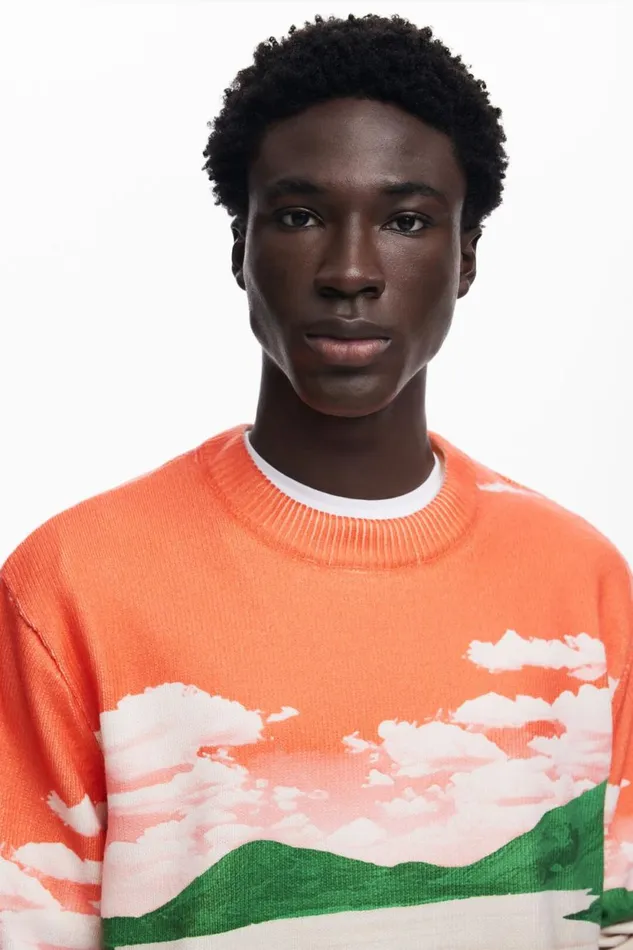 Jumpers And Sweatshirts Men Desigual Landscape Sweater Orange