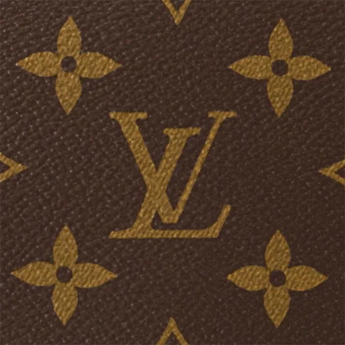 Louis Vuitton M46311 Loop Hobo Monogram 8211 Louis Vuitton Handbag Store Women Louis Vuitton Loop Hobo Bag