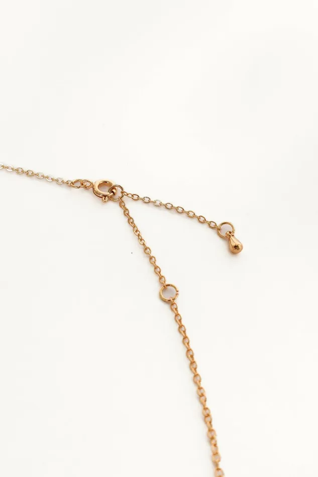 Petal and Pup Necklaces Women Ally Necklace Gold