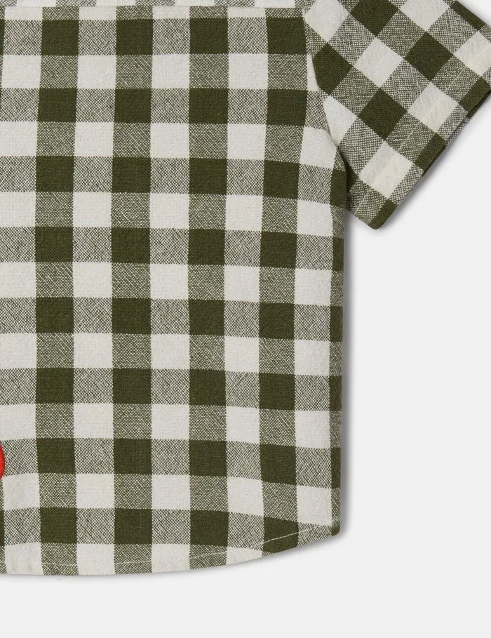 Stella McCartney Baby Boys Kids Veggie Embroidery Gingham Shirt Greenwhite Stella McCartney Baby Boys Kids Veggie Embroidery Gingham Shirt Greenwhite