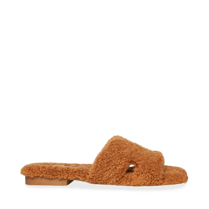 Steve Madden Seek Cognac Womens Slippers