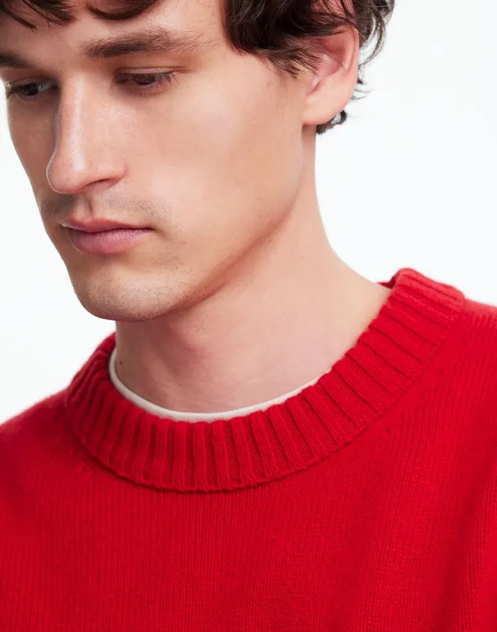 Sweaters Men Madewell Crewneck Sweater In SoftWool Pomegranate Seed