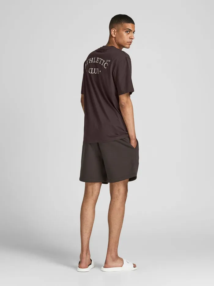 Tshirts JACK and JONES Mens BACK PRINT TSHIRT Brown Seal Brown Gift for Friend