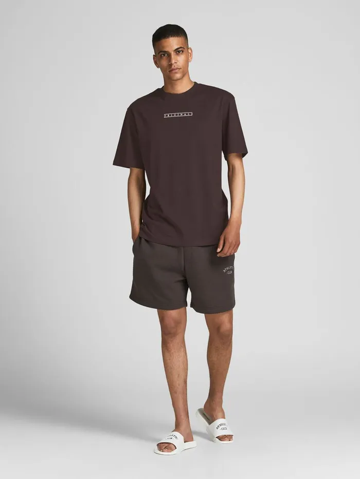 Tshirts JACK and JONES Mens BACK PRINT TSHIRT Brown Seal Brown Gift for Friend