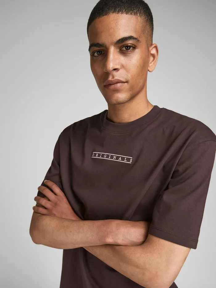 Tshirts JACK and JONES Mens BACK PRINT TSHIRT Brown Seal Brown Gift for Friend