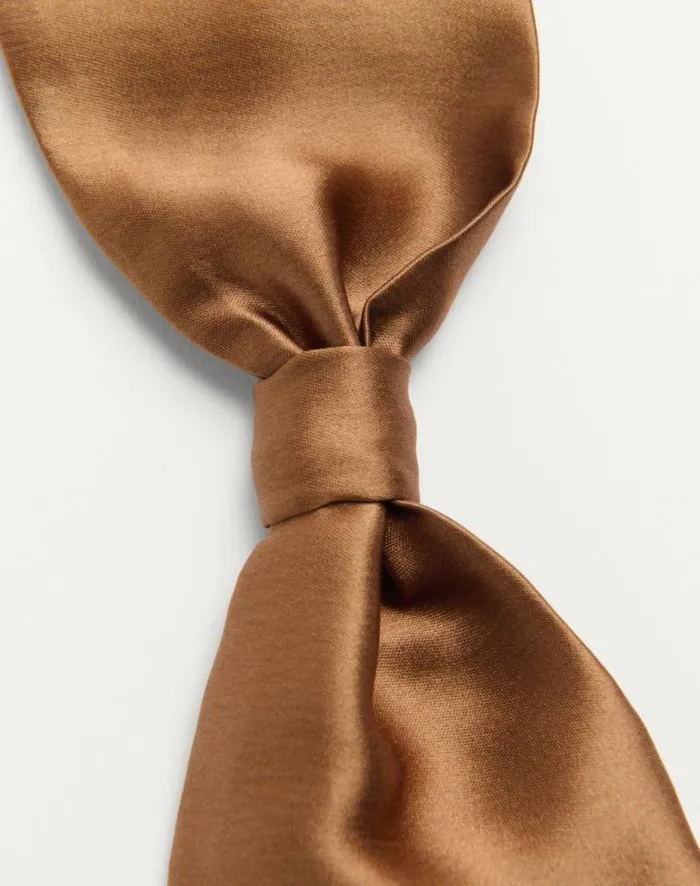 Valentino Soft Accessories Man Valentie Silk Bow Tie For Man In Brown Brown Valentino Soft Accessories Man Valentie Silk Bow Tie For Man In Brown Brown