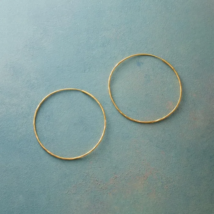 Women Endlessly Hoop Earrings Sundance Catalog Earrings
