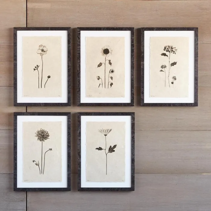 Women Flower Studies Print Anemone Sundance Catalog Decor