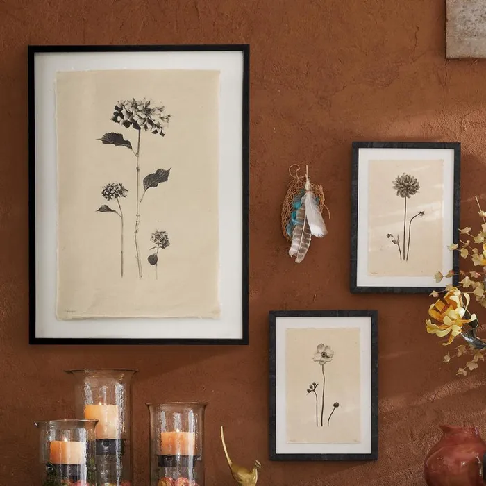 Women Flower Studies Print Anemone Sundance Catalog Decor Women Flower Studies Print Anemone Sundance Catalog Decor