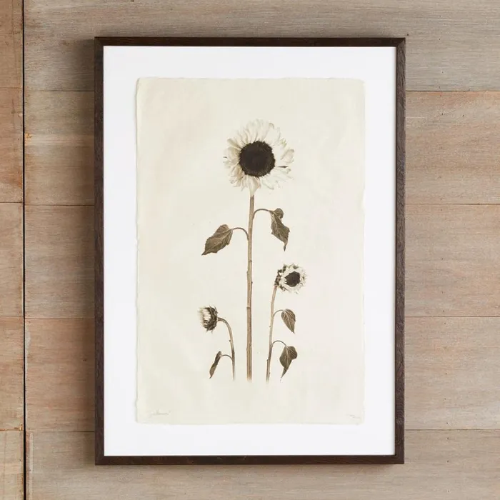 Women Flower Studies Print Anemone Sundance Catalog Decor Women Flower Studies Print Anemone Sundance Catalog Decor