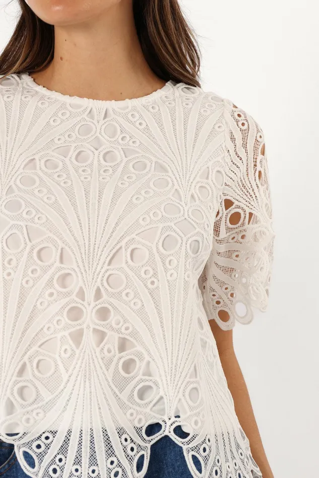 Women Tees Petal and Pup Sabina Top White