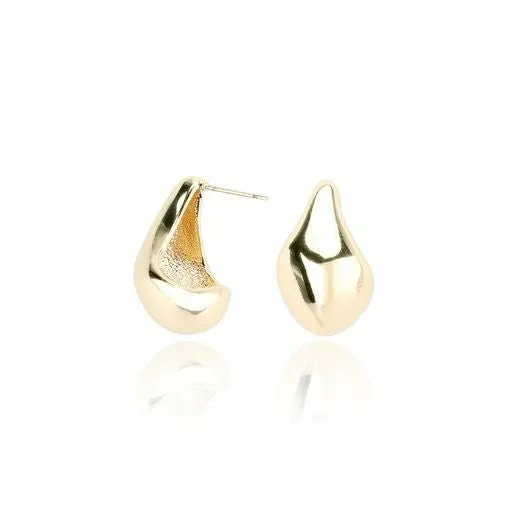 Women Vintage Havana Earrings KHLOE EARRINGS