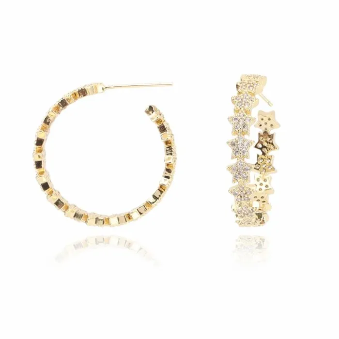 Women Vintage Havana Earrings PARIS EARRINGS