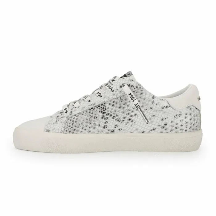 Women Vintage Havana Low Tops ACTION 8211 SNAKE MULTI Snake Multi
